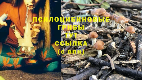 марихуана Нефтегорск