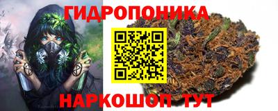 прущие крисы Краснокаменск
