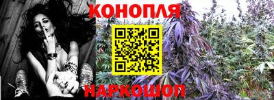 прущие грибы Волгодонск