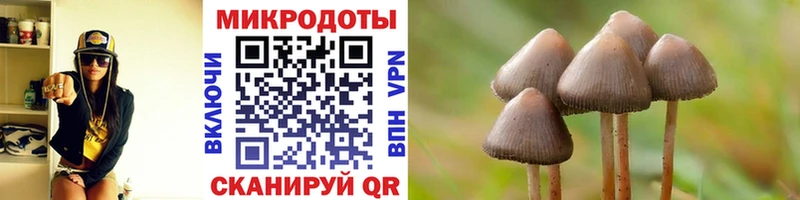 Галлюциногенные грибы Psilocybine cubensis  Кондопога 