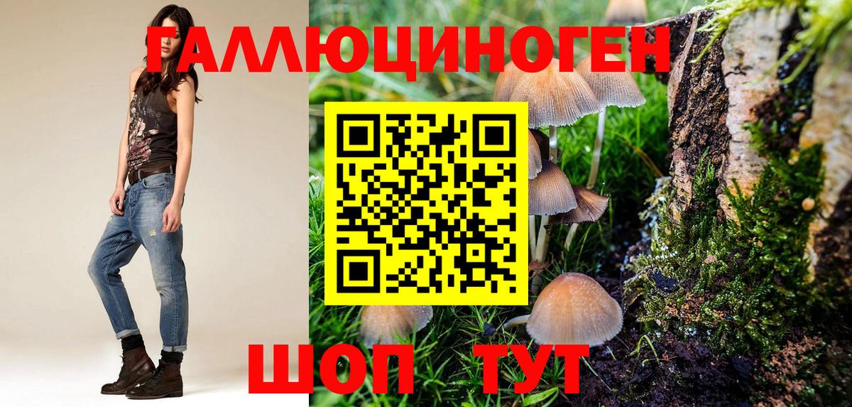 закладка  Псилоцибиновые грибы MAGIC MUSHROOMS  Вход с VPN  Кондопога  Галлюциногенные грибы ЛСД 