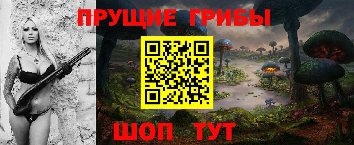 Псилоцибиновые грибы прущие грибы  купить наркоту  Кондопога  Галлюциногенные грибы GOLDEN TEACHER 