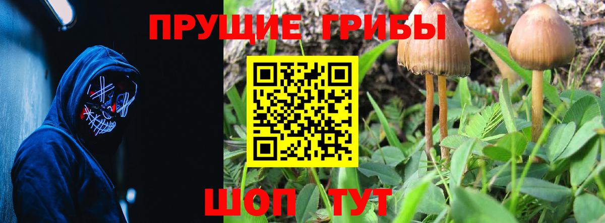Галлюциногенные грибы прущие грибы Кондопога